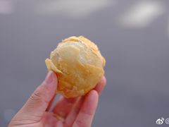 -真老大房鲜肉月饼(南京路步行街店)
