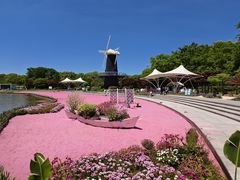 -上海鲜花港