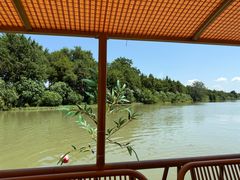 -合肥滨湖国家森林公园