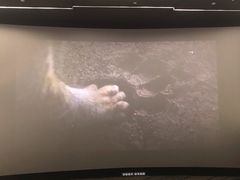 -金逸影城(影视中心IMAX店)