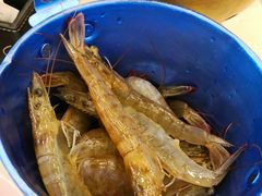 -澜悦港海鲜体验主题餐厅