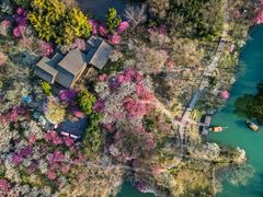 -西溪国家湿地公园