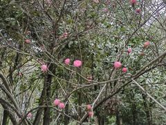-杭州电子科技大学(下沙校区)