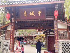 -青城甲(青城山店)