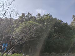 -宁波市保国寺古建筑博物馆