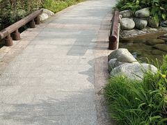-成飞公园