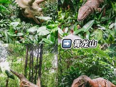 -广州长隆野生动物世界