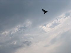 -海驴岛(荣成市)