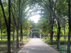 -洛阳市隋唐城遗址植物园