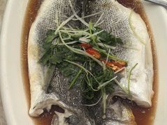 -海港酒楼·平价海鲜·茶点(小公园店)