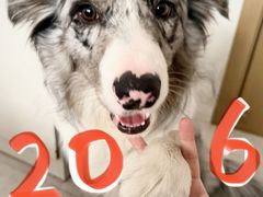 -滨寿司(百联中环店)