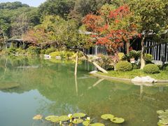 -云溪植物园