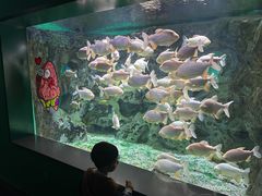 -常州海昌海洋探索馆