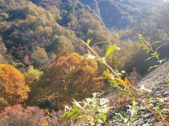 -秦岭终南山世界地质公园翠华山景区