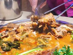 营养脊骨汤-韩香福脊骨汤锅(上杭路店)