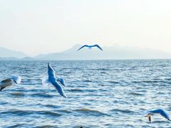 -深圳湾公园(南山区)