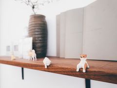 -Onirii Coffee(长乐路店)