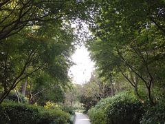 -杭州城北体育公园