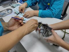 -中农国际动物医院24小时·猫科·骨科·急重症中心