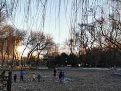 -玲珑塔公园