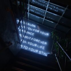 -蚂蚁造型沙龙