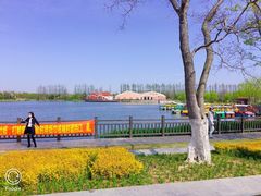 -上海长兴岛郊野公园