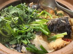 -九道菜有鸡鱼头(石鼓路店)