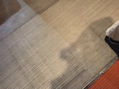 -强记海鲜·大排档(蛇口新街店)