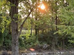 -两河城市森林公园