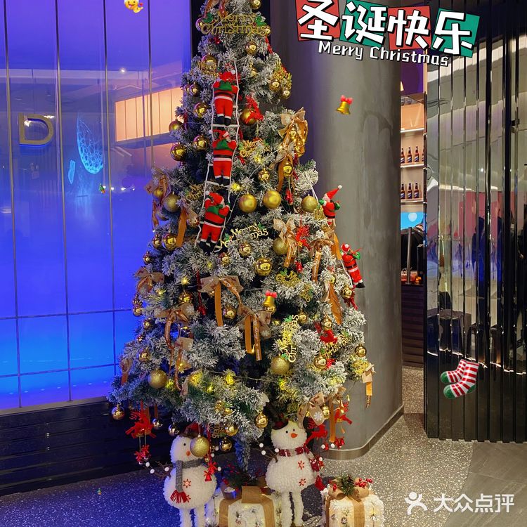 NEED创意韩国料理｜宝藏店铺🇰🇷