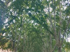 -河南省黄河迎宾馆