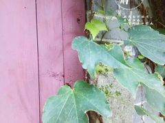 -宁波市保国寺古建筑博物馆