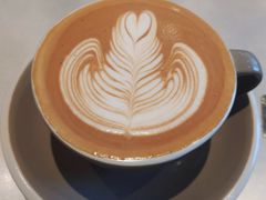 -Wagas沃歌斯(汇智店)