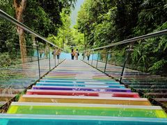 -三亚亚龙湾人间天堂鸟巢度假村