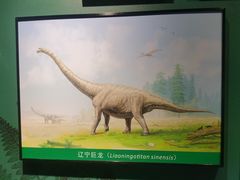 -辽宁古生物博物馆