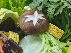 -鲜潭蒸汽石锅鱼(万象前海店)