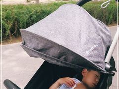 -大兴滨河森林公园