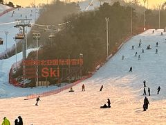 -东北亚滑雪场