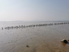 -深圳湾公园(南山区)