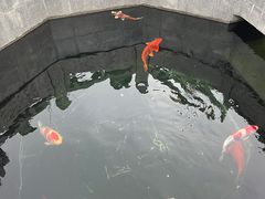 -西安市广仁寺