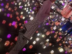 -北戴河集发农业梦想王国