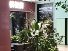 -大神太神·铁板烧(七宝领展广场店)