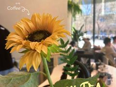 -Jamaicablue Coffeeshop(中央广场店)