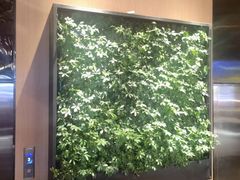 -巴奴毛肚火锅(六天地店)