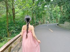-峨眉山报国寺