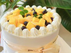 -今日·TODAY手作低脂动物奶油蛋糕定制(高新万达店)