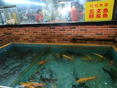 -醉美东江·三文鱼·烧鸡公