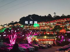-枇杷园食为鲜火锅(南山店)