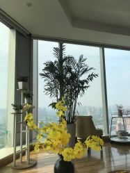 -久匠半永久纹眉