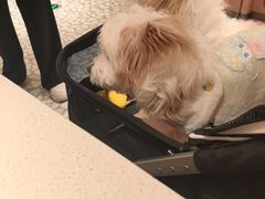 -海底捞火锅(凤凰广场店)